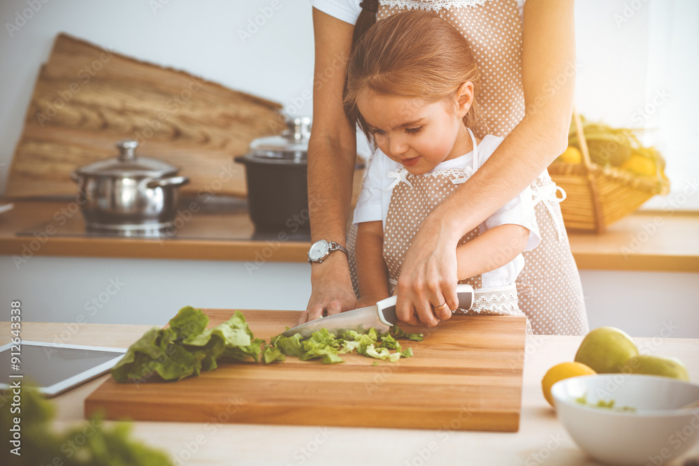 Happy woman and her daughter making healthy vegan salad and snacks for family feasting in sunny kitchen. Christmas, New year, Thanksgiving, Anniversary, Mothers Day. Healthy meal cooking concept Happy woman and her daughter making healthy vegan salad and snacks for family feasting in sunny kitchen. Christmas, New year, Thanksgiving, Anniversary, Mothers Day. Healthy meal cooking concept