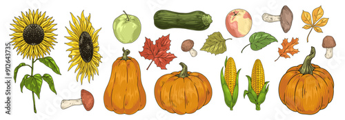 Autumn harvest set labels colorful