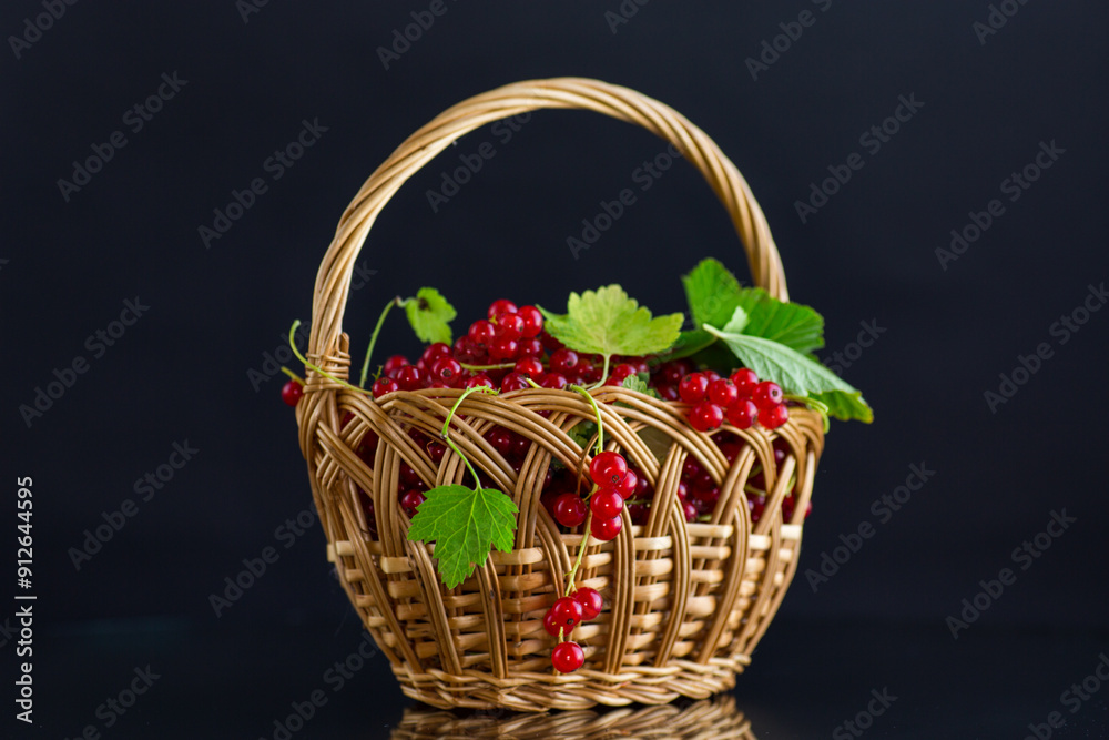 twigs of ripe red currants, isolated on a black background twigs of ripe red currants, isolated on a black background