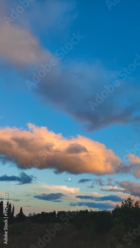 Moon over the cypress trees at sunset