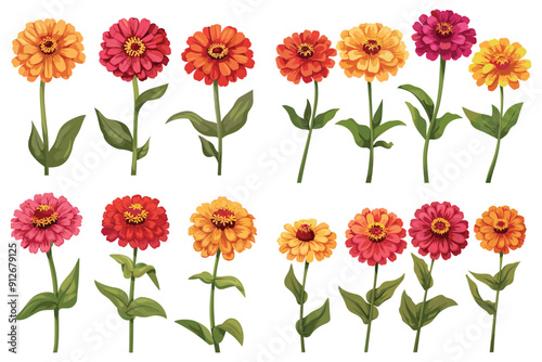 Beautiful zinnias flowers, Colorful zinnias flowers vector, Colorful bouquet of zinnias flowers, Multicolored zinnias flowers