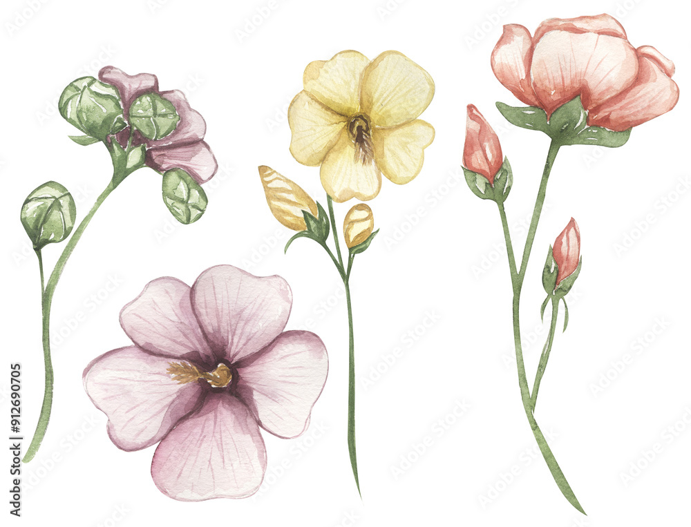 Watercolor malva flower illustration set, meadow flowers clipart Watercolor malva flower illustration set, meadow flowers clipart