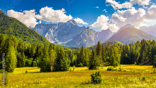 Quadro em tela Valley in the Triglav National Park, Julian Alps, Slovenia