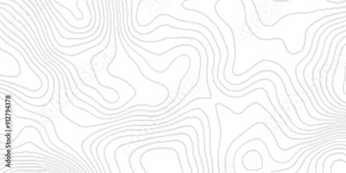 White wave paper curved reliefs abstract background,Line topography map contour background, geographic grid.paper texture Imitation of a geographical map shades ,