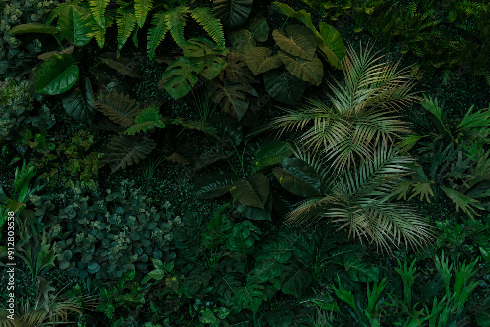 abstract green leaf texture, tropical leaf foliage nature dark green background abstract green leaf texture, tropical leaf foliage nature dark green background
