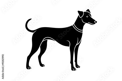 illustration of a dog vector