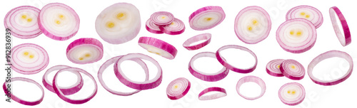 Sliced red onion and half of a purple onion isolated png transparent, featuring onion rings and slices displayed in a set