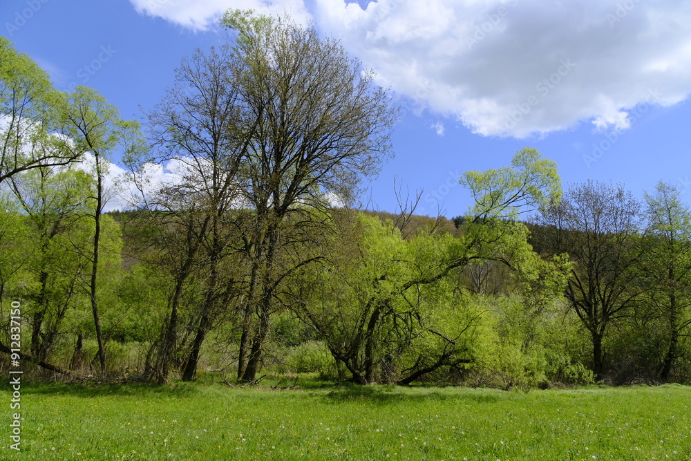 Obraz premium Landschaft im Sinntal zwischen Burgsinn und Rieneck, Landkreis Main-Spessart, Unterfranken, Franken, Bayern, Deutschland