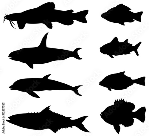 set of fish silhouettes