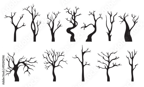 black naked tree silhouettes isolated winter flat trees dead dry branch trunk marple oak abstract
