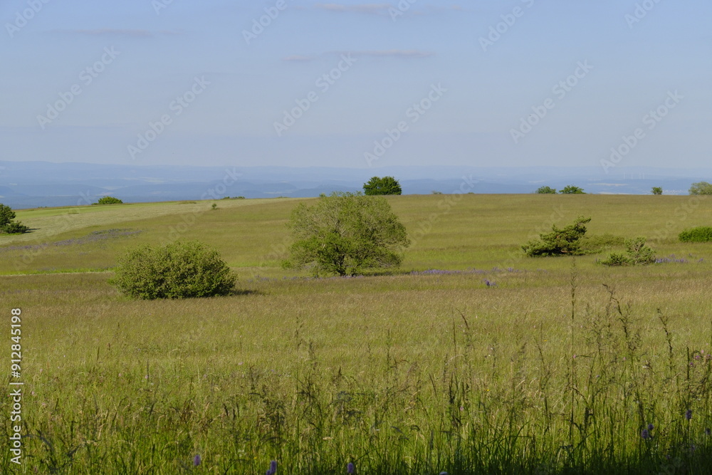 Das Naturschutzgebiet Lange Rhön in der Kernzone des Biosphärenreservat Rhön, Bayerischen Rhön, Landkreis Rhön-Grabfeld, Unterfranken, Bayern, Deutschland Das Naturschutzgebiet Lange Rhön in der Kernzone des Biosphärenreservat Rhön, Bayerischen Rhön, Landkreis Rhön-Grabfeld, Unterfranken, Bayern, Deutschland