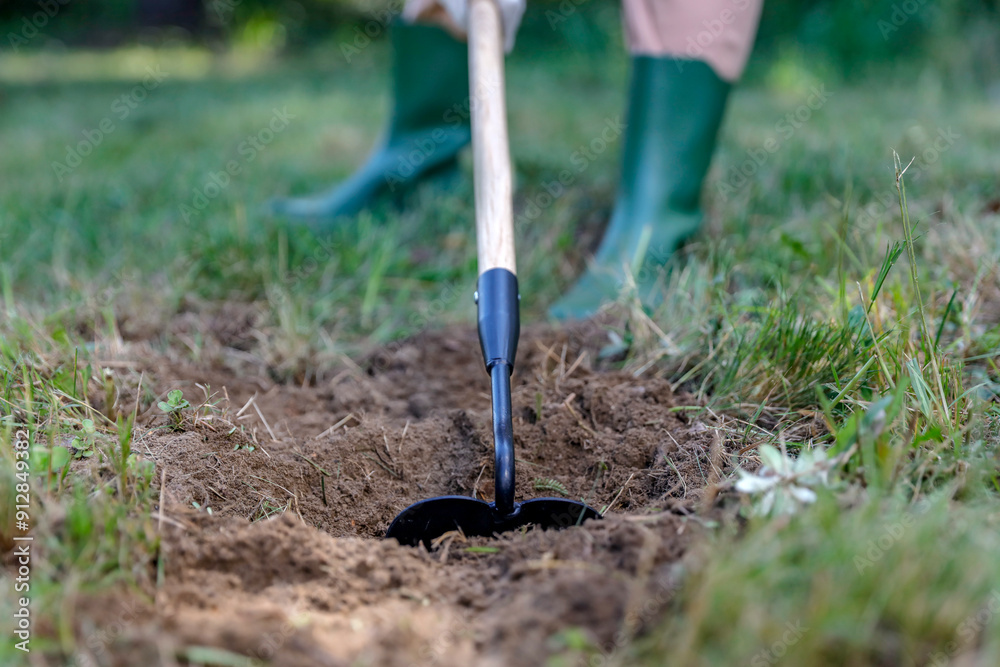Cleaning and renewing lawn with garden hook tool. Female legs in green wellies. Autumn gardening. Cleaning and renewing lawn with garden hook tool. Female legs in green wellies. Autumn gardening.