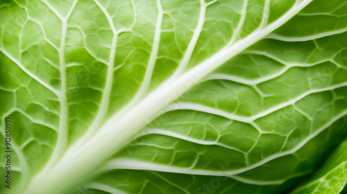 Macro shot of the texture of a kohlrabis skin displaying the light green surface with fine ridges and subtle details  photo