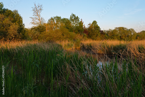 Sonnenuntergang im Vogelschutzgebiet NSG Garstadt bei Heidenfeld im Landkreis Schweinfurt, Unterfranken, Bayern, Deutschland photo