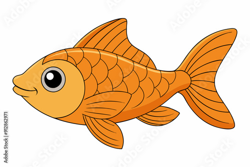 fish on white background