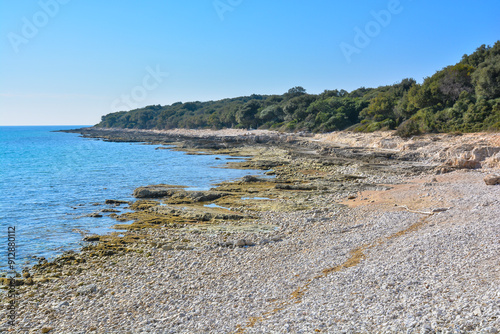 A beach area with rocks and lush trees along the shoreline