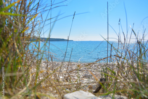 An expansive view of the ocean can be seen through tall grass