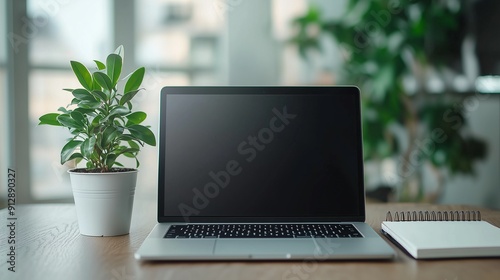 Minimalist Desk Setup with Laptop and Plants