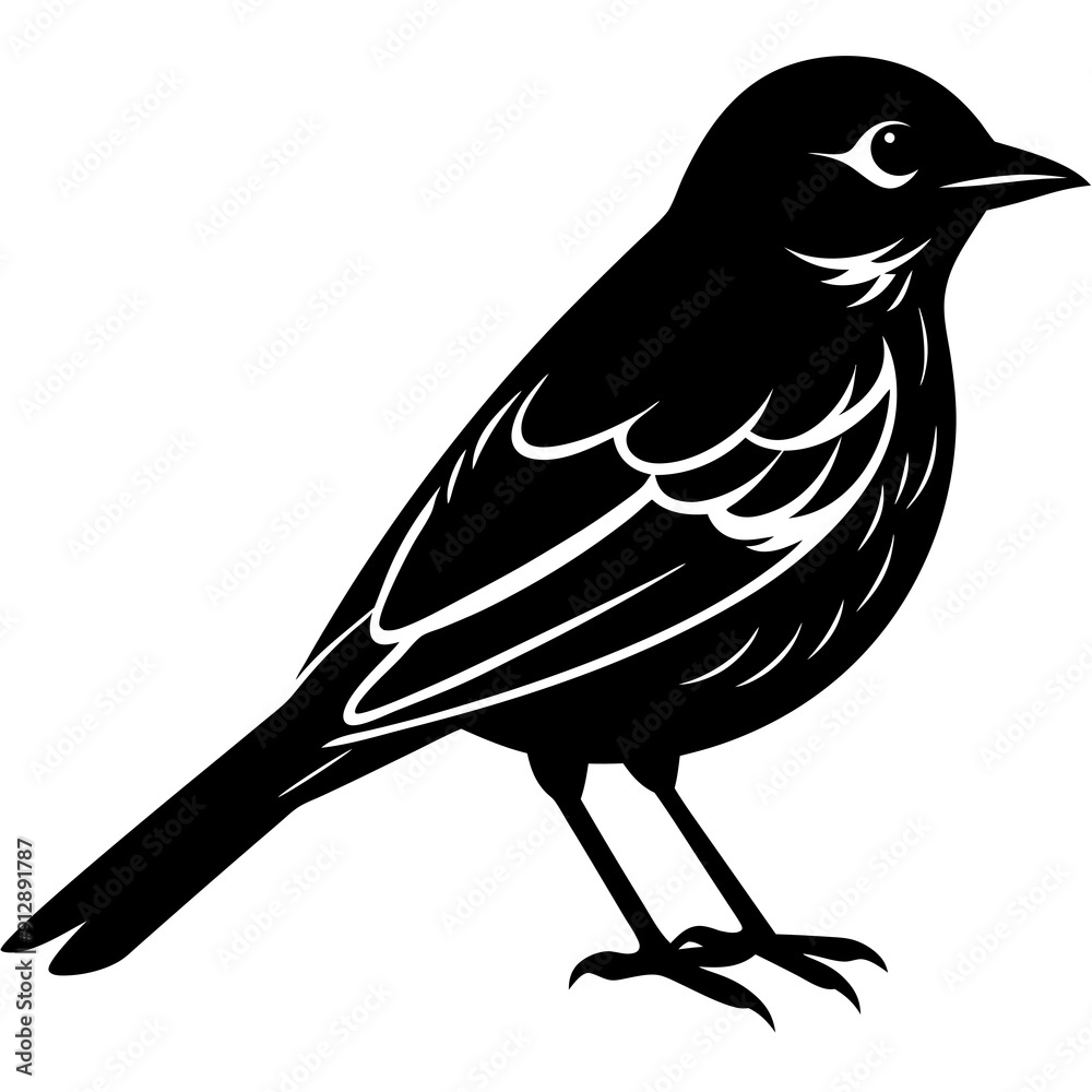 crow on a branch vector illustration crow on a branch vector illustration