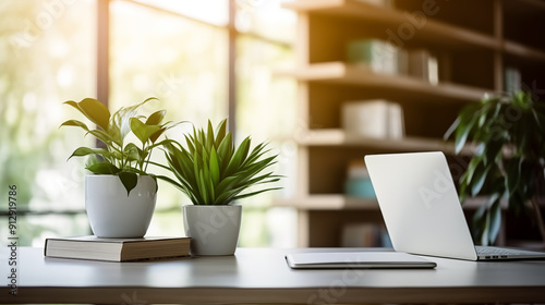 Working space in the office. Laptop on the table, green plant and booking shelf on the background