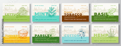 Vegetables Herbs Food Label Templates Set. Abstract Vector Packaging Design Layouts Collection. Modern Typography Banner with Hand Drawn Vegs and Rural Landscape Background Isolated