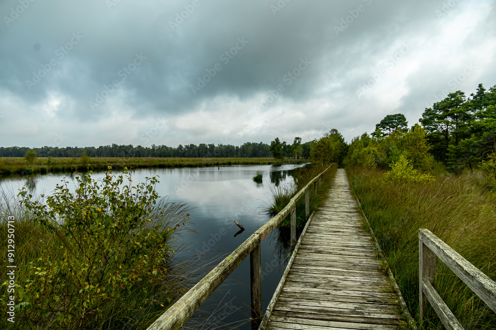 Naklejka premium Ein herrliche Wanderung durch die einzigartige und farbenfrohe Landschaft der Osterheide - Bispingen - Niedersachsen - Deutschland