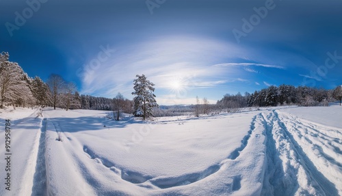 Panoramic 360-Degree Winter Landscape with Snowy Trails and Clear Blue Sky 