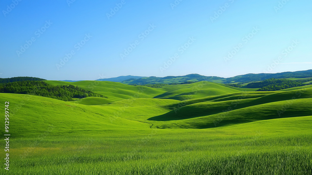 Obraz premium beautiful landscape