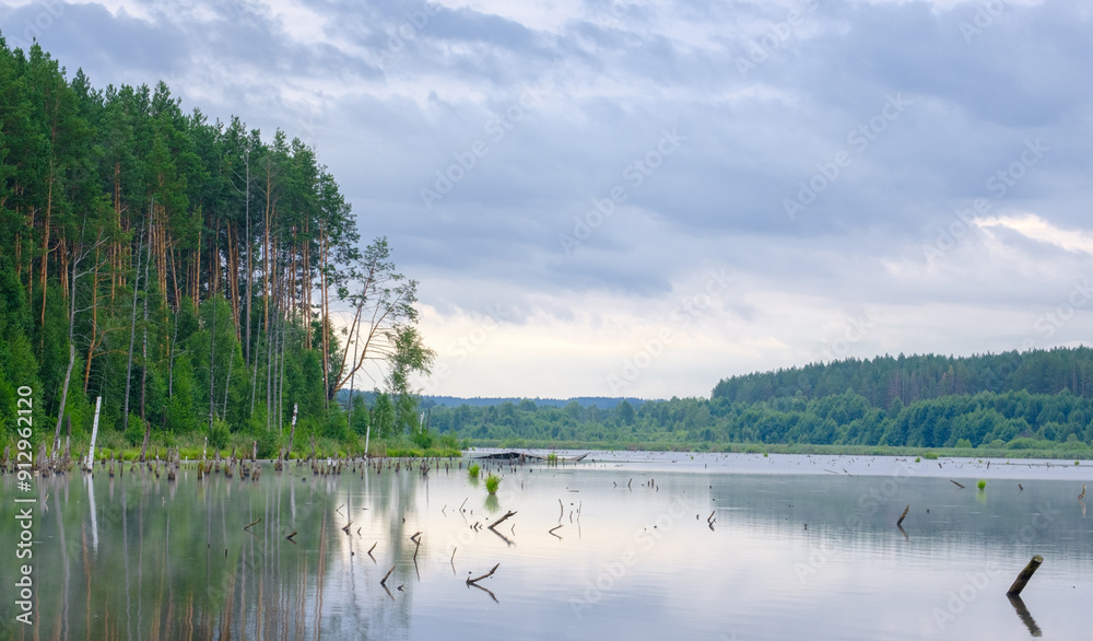 wide river and forest on an early summer cloudy morning wide river and forest on an early summer cloudy morning