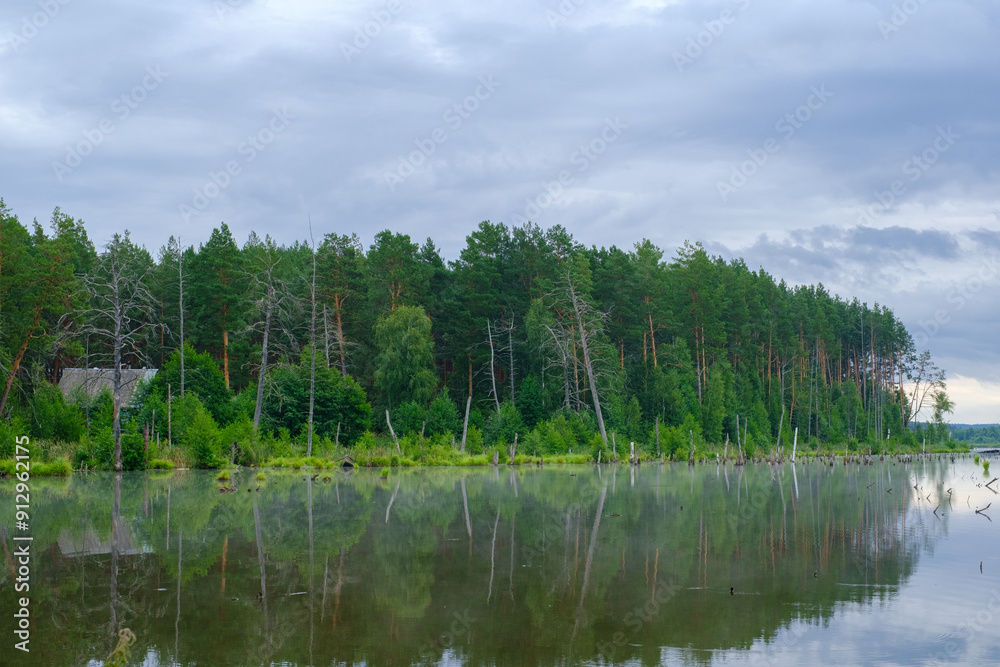 Obraz premium wide river and forest on an early summer cloudy morning