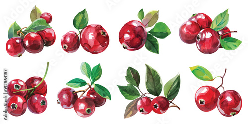 Watercolor ripe red berries cranberry fruits with green leaves set collection design resources elements