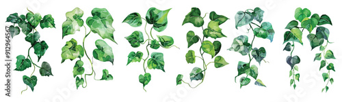Watercolor hanging green tropical creeper leaves vine ivy houseplant bush design resources elements