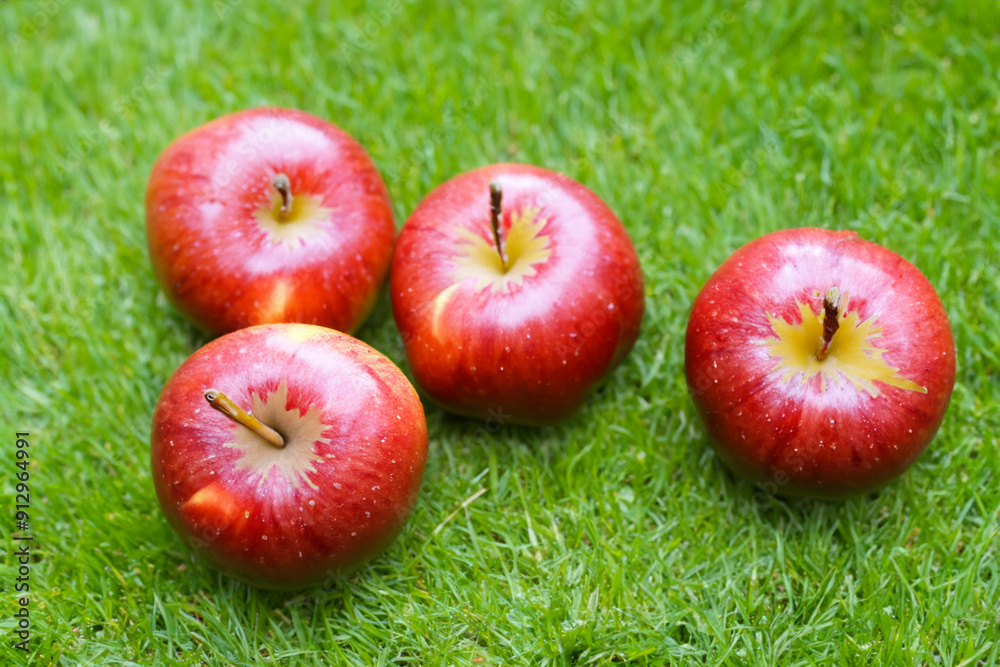 A lawn with s, greens and reds. Food basket fresh concept. A bunch of fruit, including s, greens and reds, is surrounded by grass. A lawn with green grass and fruit, with s and lifestyle greens. A lawn with s, greens and reds. Food basket fresh concept. A bunch of fruit, including s, greens and reds, is surrounded by grass. A lawn with green grass and fruit, with s and lifestyle greens.