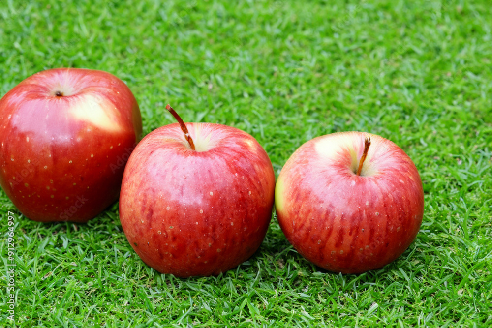 A lawn with s, greens and reds. Food basket fresh concept. A bunch of fruit, including s, greens and reds, is surrounded by grass. A lawn with green grass and fruit, with s and greens lifestyle. A lawn with s, greens and reds. Food basket fresh concept. A bunch of fruit, including s, greens and reds, is surrounded by grass. A lawn with green grass and fruit, with s and greens lifestyle.