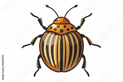  Colorado potato beetle vector illustration