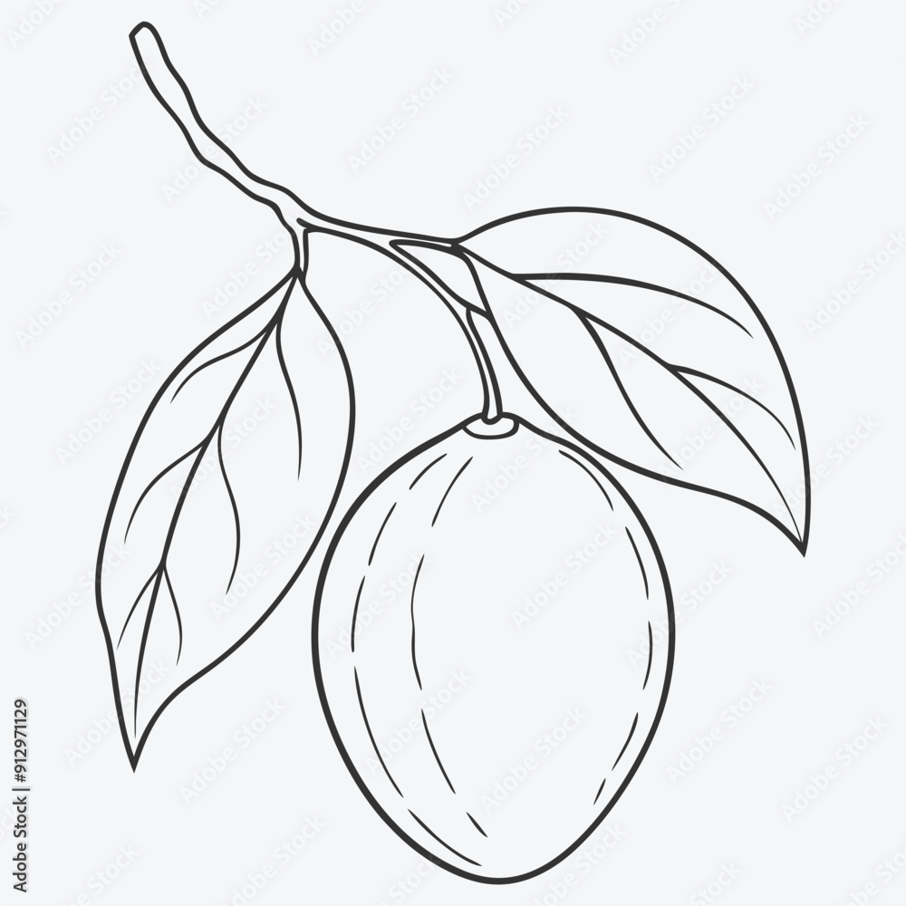 Stunning Jujube Line Art, Elegant Designs for Modern Illustrations Stunning Jujube Line Art, Elegant Designs for Modern Illustrations