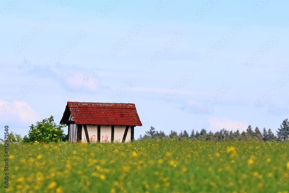 A small half-timbered house in the background. Rapeseed plants bloom yellow. Nürtingen. Germany. Europe. A small half-timbered house in the background. Rapeseed plants bloom yellow. Nürtingen. Germany. Europe.
