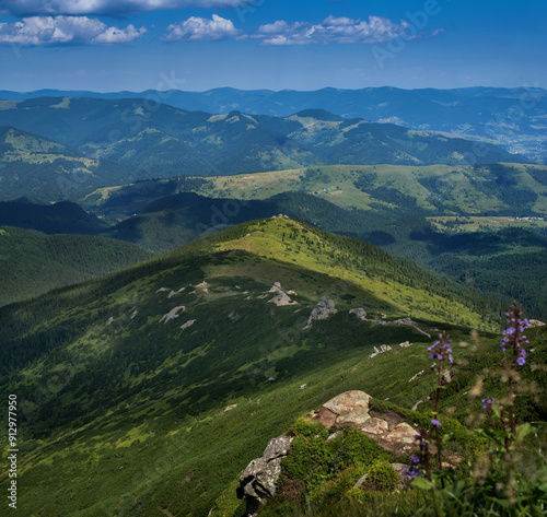 Stones on trail at Montenegrin Range, Carpathians, Ukraine