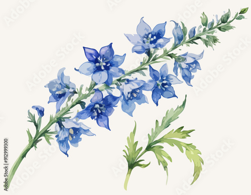 Hand-painted watercolor sprig of delphinium