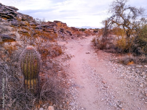 Arizona Desert Mountain Biking Trails photo