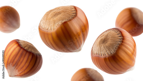 Wallpaper Mural A cluster of fresh hazelnuts,  perfect for culinary and health-related images. Torontodigital.ca