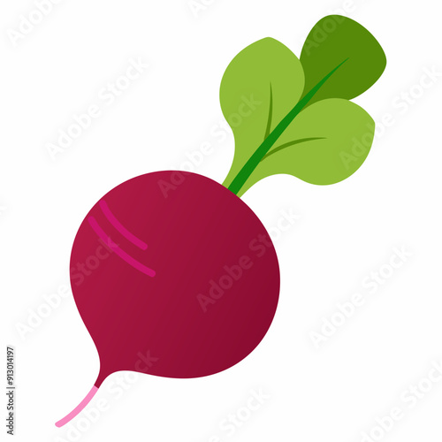 Beetroot vector illustration