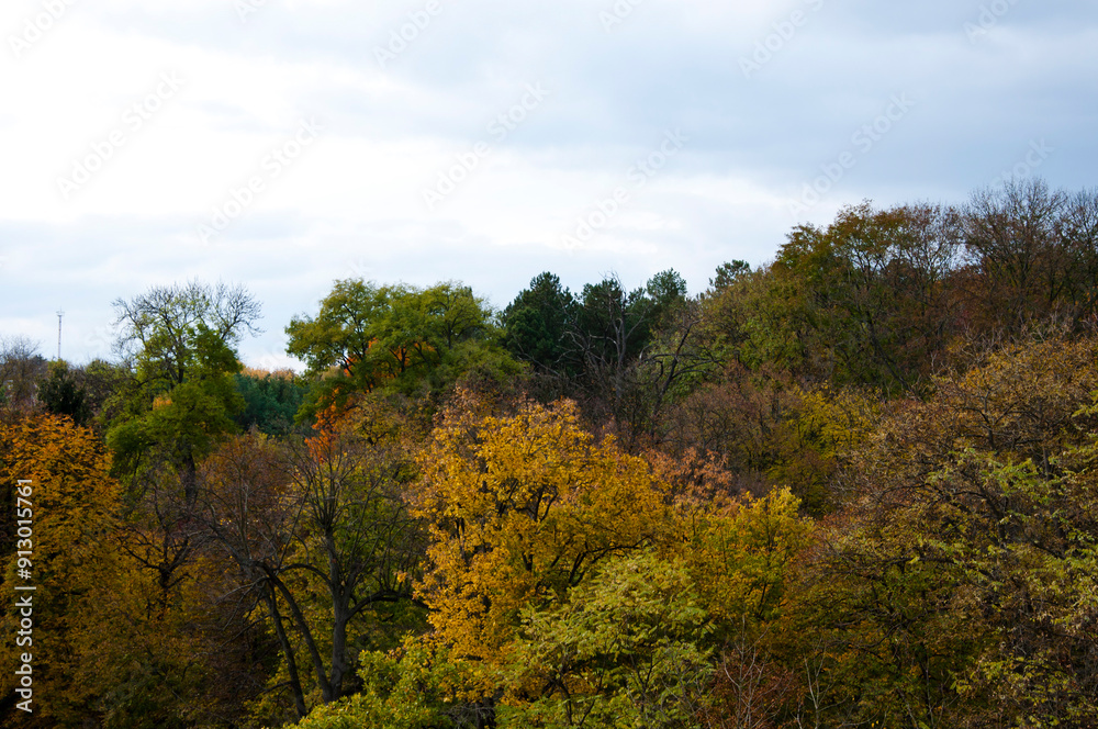 Scenic landscape. Central park in autumn. Autumn landscape. Fall nature landscape. Autumn nature in Central park. Seasonal fall landscape. Park autumn tree and bush in New York. Scenic fall Scenic landscape. Central park in autumn. Autumn landscape. Fall nature landscape. Autumn nature in Central park. Seasonal fall landscape. Park autumn tree and bush in New York. Scenic fall