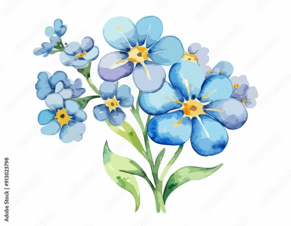 Fototapeta premium Forget me not flower. Watercolor illustration isolated on white background