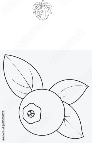 bilberry