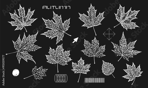 Autumn leaves silhouette stamps collection and herbarium plant set with grainy photocopy effect. Grunge fall collection stippling. Vector grunge illustration