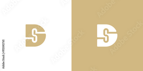 Letter DS Logo Design Vector