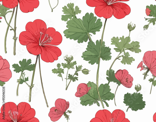 Geranium | Redoute Flower Illustration
