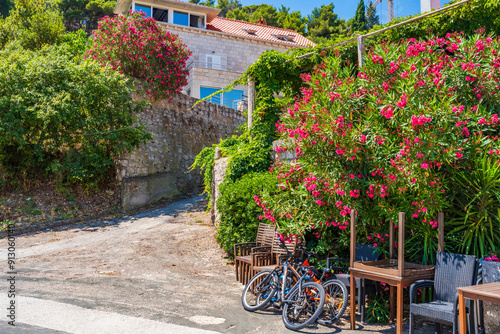 Sipan - one of the Elaphiti Islands near Dubrovnik. Summer in Croatia photo