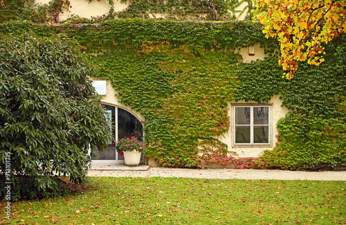 Canvas Print The wall of an old house covered with creeper leafs,autumn season,Vienna,Austria